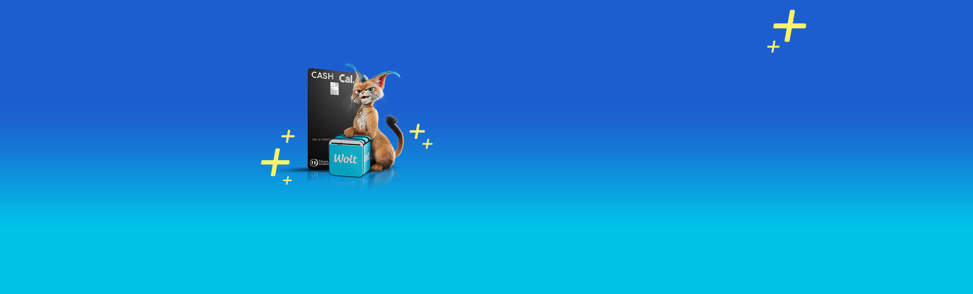 CashCal Pro