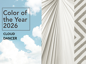 הצבע של 2026